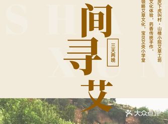暑期养生丨寻一场夏日“艾”之旅