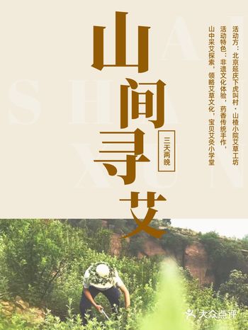 暑期养生丨寻一场夏日“艾”之旅