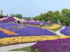 -南通洲际绿博园