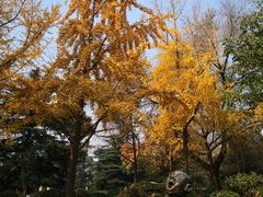 -大雁塔北广场音乐喷泉