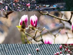 -终南山南五台景区