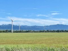 -野鸭湖国家湿地公园