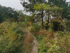 -东山风景区(洞庭东山)
