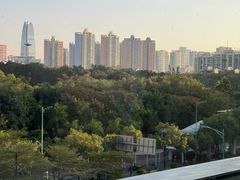 -百年果林椰子鸡(中洲店)