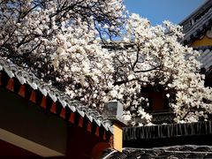 -龙华寺