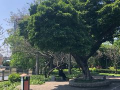 -晓港公园