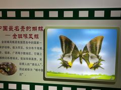 -上海昆虫博物馆