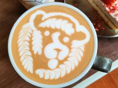 -SAFARI COFFEE