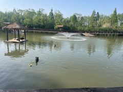 -溱湖国家湿地公园