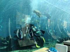 美人鱼表演-海棠湾洲际-涛·海底餐厅·美人鱼·自助餐·海底隧道