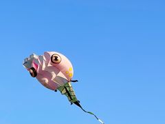 -潍坊滨海云门国际风筝放飞场