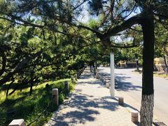 -青岛第三海水浴场