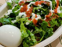 -油梨树 AVOCADO TREE(亮马桥店)