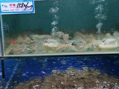 -南海渔家•海鲜•正宗海南菜(海棠湾店)