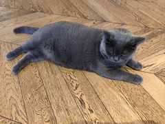 -Me Coffee下午茶艺术空间