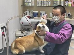 -宠颐生动物医院·小陆分院
