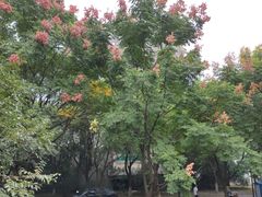 -白塘生态植物园