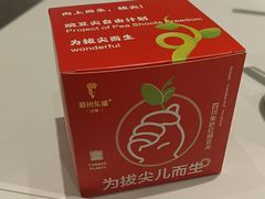 -眉州东坡(鸿坤店)