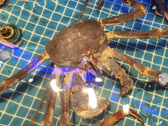 -驻海渔市(置信店)