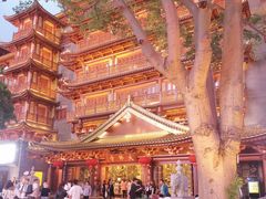 -大佛寺高级素食自助餐厅