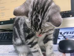 -宠颐生中康贝怡动物医院