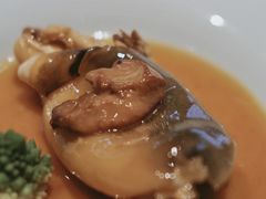 -子福慧(虹桥店)