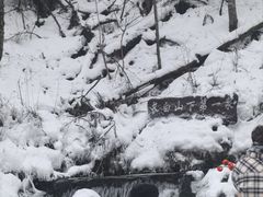 -峡谷浮石林景区