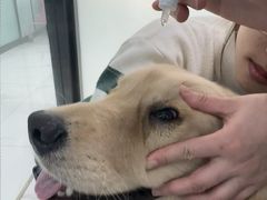 -嘉馨宠物医院·CT影像转诊·心脏科·犬猫全科诊疗中心(下沙大学城院区)