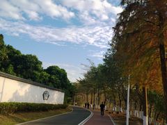 -凤岗南门山森林公园