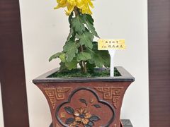 -小榄人家酒楼(民安店)