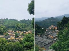 -杨家堂村