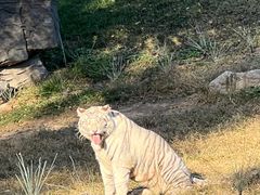 -北京野生动物园