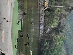 -西双版纳原始森林公园