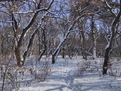 -长春市南湖公园