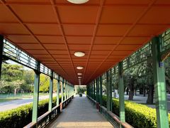 -北京市劳动人民文化宫(太庙)