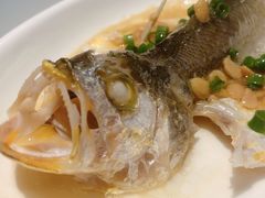 避风塘蒸小黄鱼-一德轩·闽.粤料理(福州广场店)