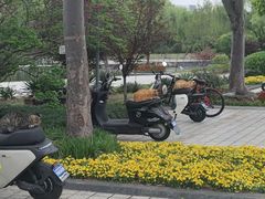 -东华大学(松江校区)