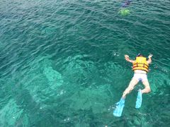 -东姑阿都拉曼海洋公园