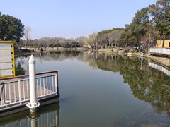 -新江湾城公园