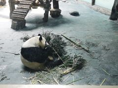 -青藏高原野生动物园