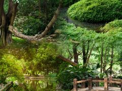 -成都市活水公园