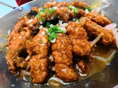 -丁老爷子苏香圆