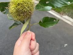 -天乐农家鱼头王(天目湖店)