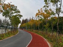 -上海长兴岛郊野公园