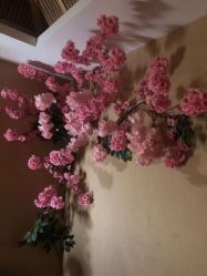 -永琪美容美发全国直营连锁