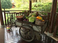 门面-青城山六善酒店·紫氣園中餐厅