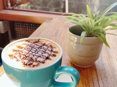 -YLK云南小粒咖啡·云里咖(二号店)