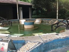 -宜春明月山维景国际温泉度假酒店