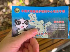 -都江堰中华大熊猫苑