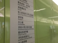 -香港大学